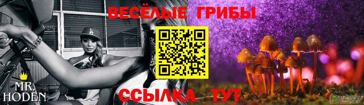 Галлюциногенные грибы прущие грибы Клинцы