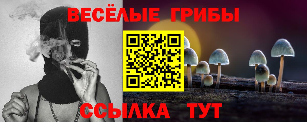 Клинцы  Псилоцибиновые грибы ЛСД  Вход с VPN 