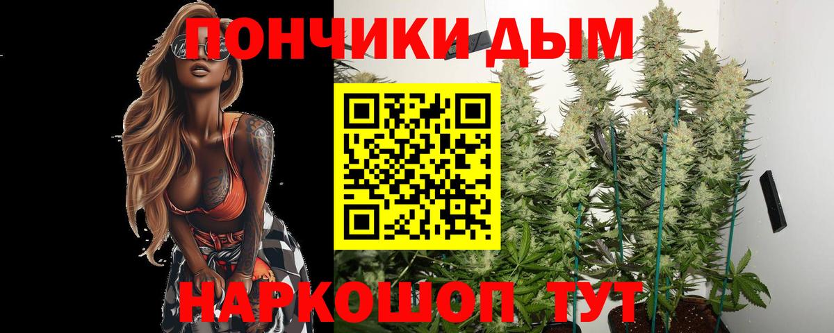 Конопля гибрид Клинцы